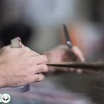 Dream Interpretation of Cutting Hair in Islam