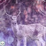 Dream Interpretation of Deer in Islam