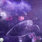 Dream Interpretation of Turtle in Islam