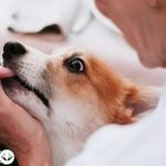 Dream Interpretation of Biting & Bitten by Someone In Islam