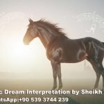 Seeing Horse in Islamic Dream