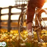 Dream Interpretation of A Bike In Islam