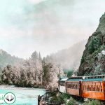 Dream Interpretation of Train In Islam