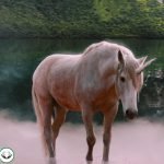 Dream Interpretation of Unicorn In Islam