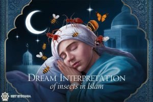 dream Interpretation of Seeing insects in Islam