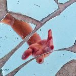 Dream Interpretation of Broken Glass In Islam