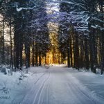 Dream Interpretation of Snow In Islam