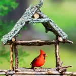 Dream Interpretation of Birds Flying