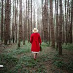 Dream interpretation of Red Dress