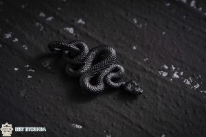 Dream Interpretation of black snake In Islam