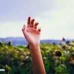 Dream Interpretation of Hand in Islam