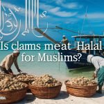 Is Clams Meat Halal for Muslims?
