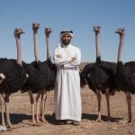 Is Eating Ostriches Meat Halal?