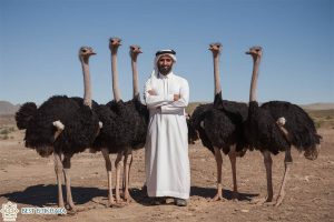 Is Eating Ostriches Meat Halal?