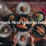 Is Shark Meat Halal In Islam?