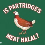 is Partridges meat halal