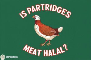 is Partridges meat halal