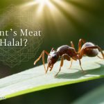 Is Ant's Meat Halal?