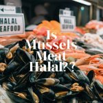 Is Mussels Meat Halal?