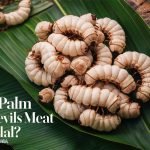 Is Palm Weevils Meat Halal?