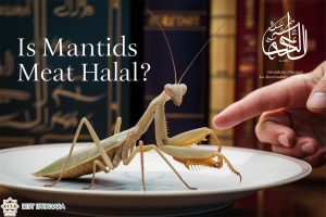 is Mantids meat halal?