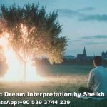 Buffalo Chasing in Dream Islam