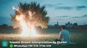 Buffalo Chasing in Dream Islam