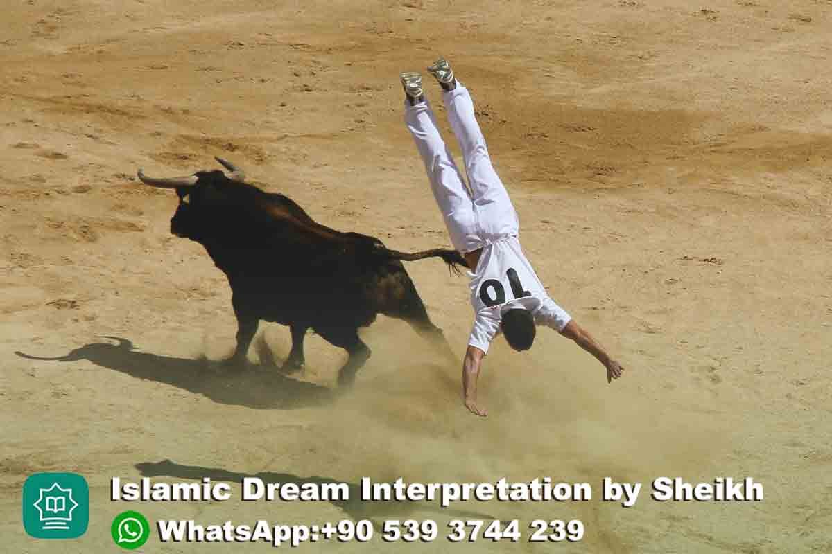 Buffalo Chasing in Dream Islam