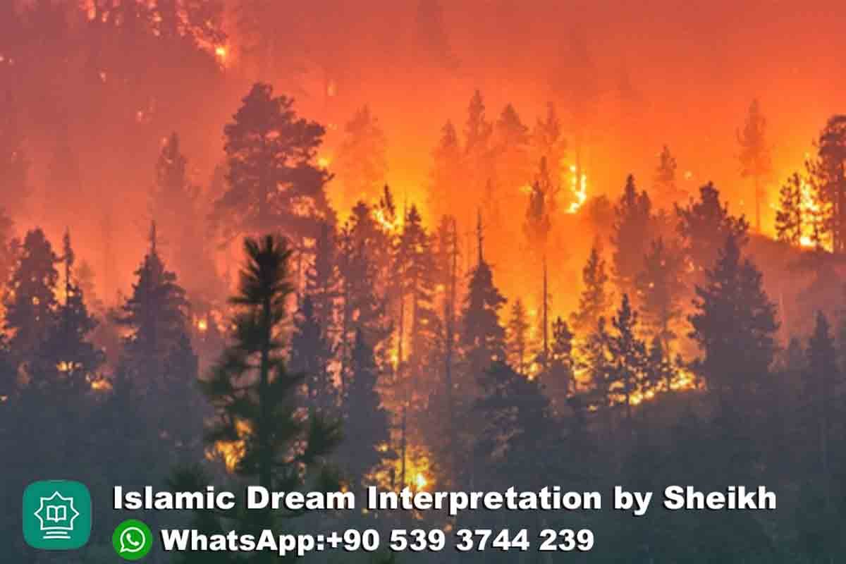 Burning Tree in Dream Islam