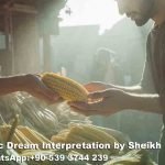 Buying Corn in Dream Islam