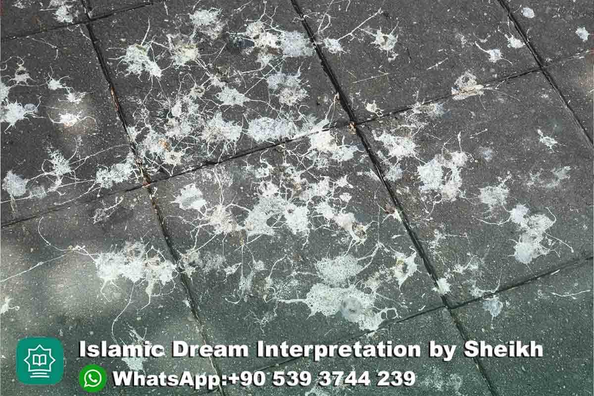 Bird Poop in Dream Islam