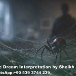 Black Widow Spider Dream Islam
