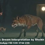 Fox Attack in Dream Islam