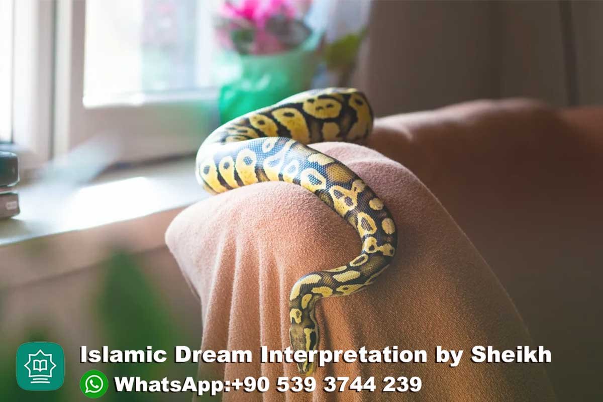 Friendly Snake in Dream Islam