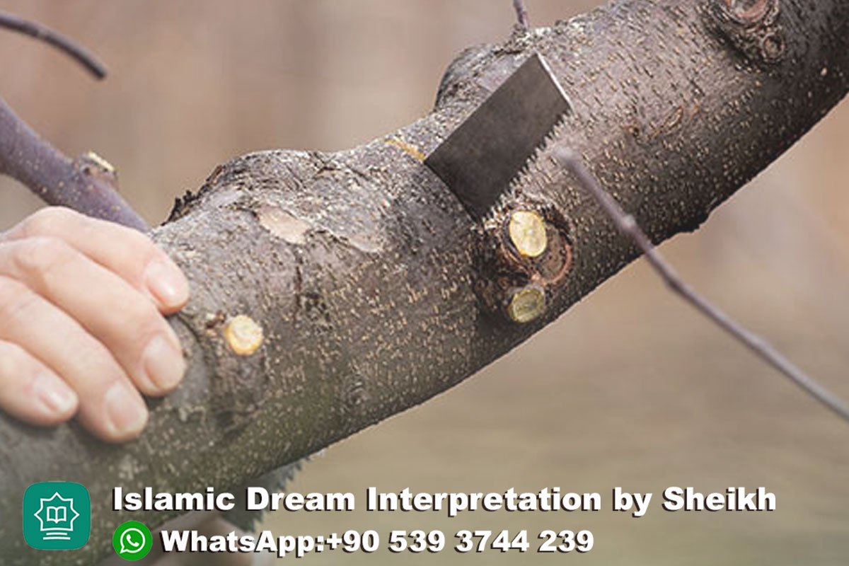 cutting tree branches in dream islam