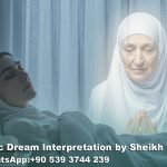 dead mother in law in dream islam
