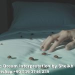 Dreaming of Bed Bugs Islam