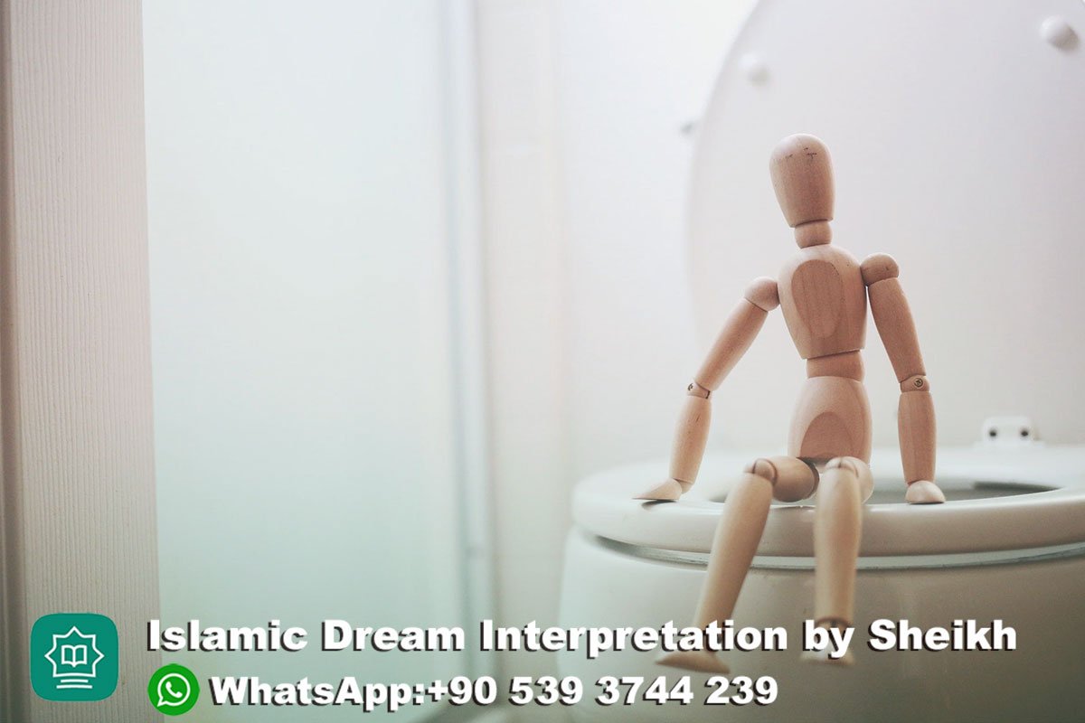 Using Toilet in Front of Others