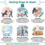 Seeing Dog in Islamic Dream InfoGraphics
