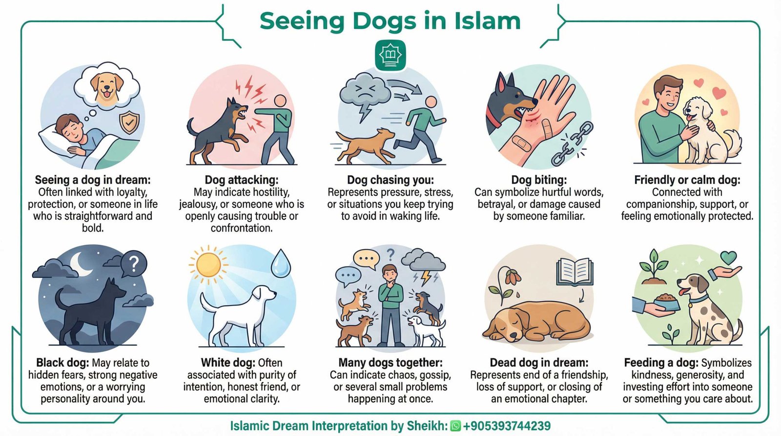 Seeing Dog in Islamic Dream InfoGraphics