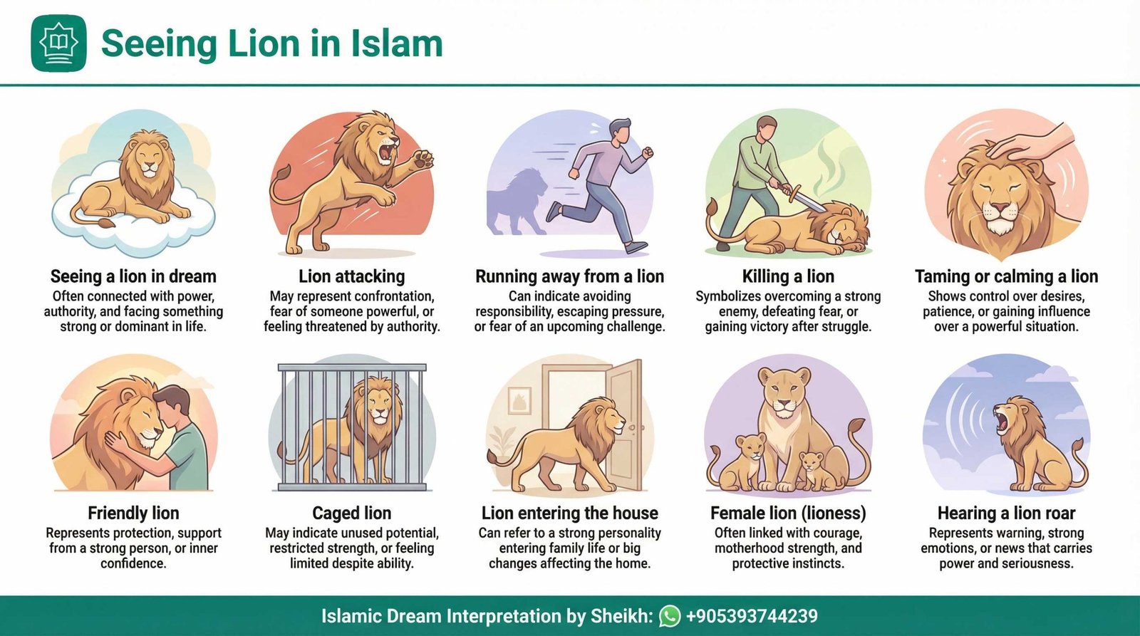 Seeing Lion in Islamic Dream InfoGraphics