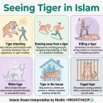 Seeing Tiger in Islamic Dream InfoGraphics