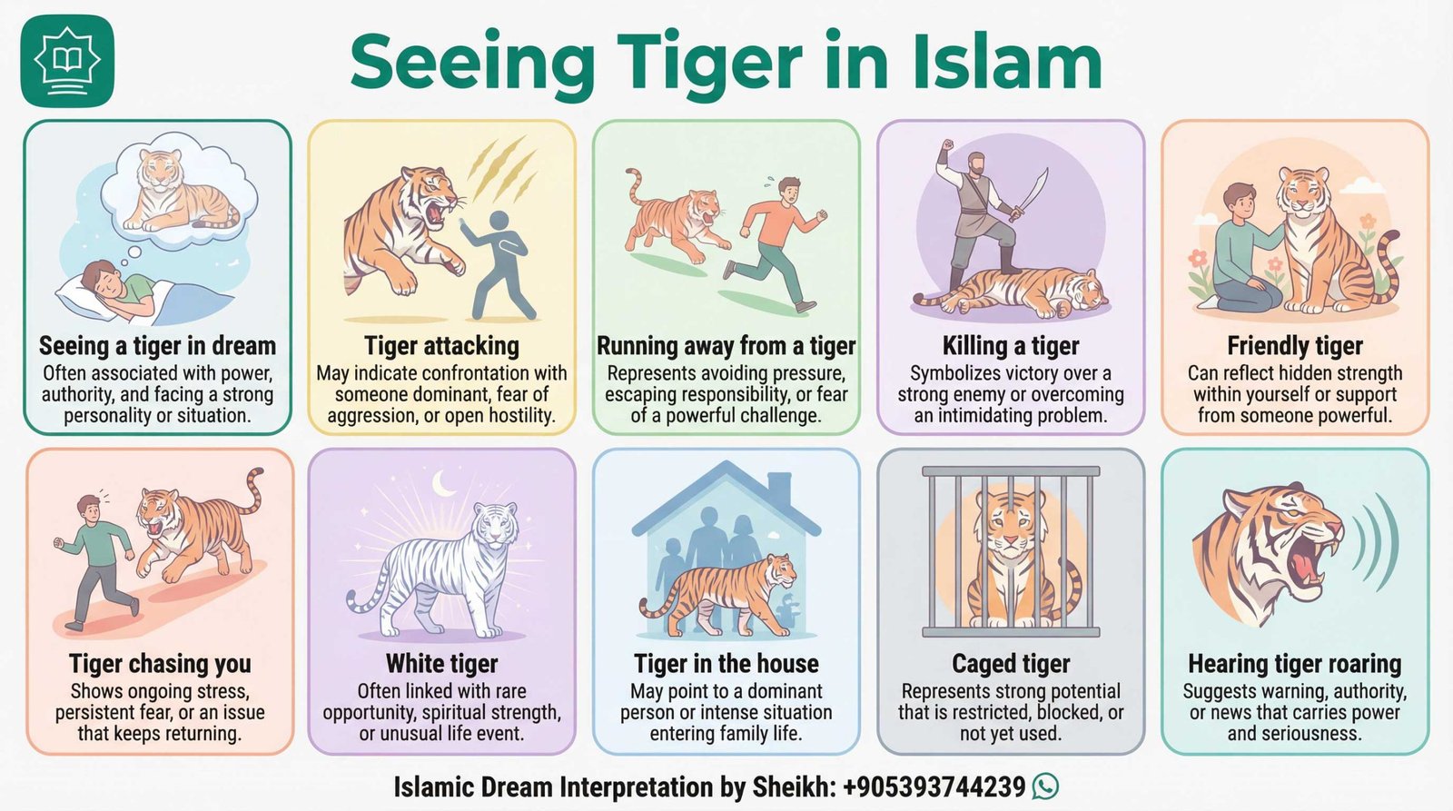 Seeing Tiger in Islamic Dream InfoGraphics