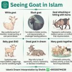 Seeing Goat in Islamic Dream InfoGraphics