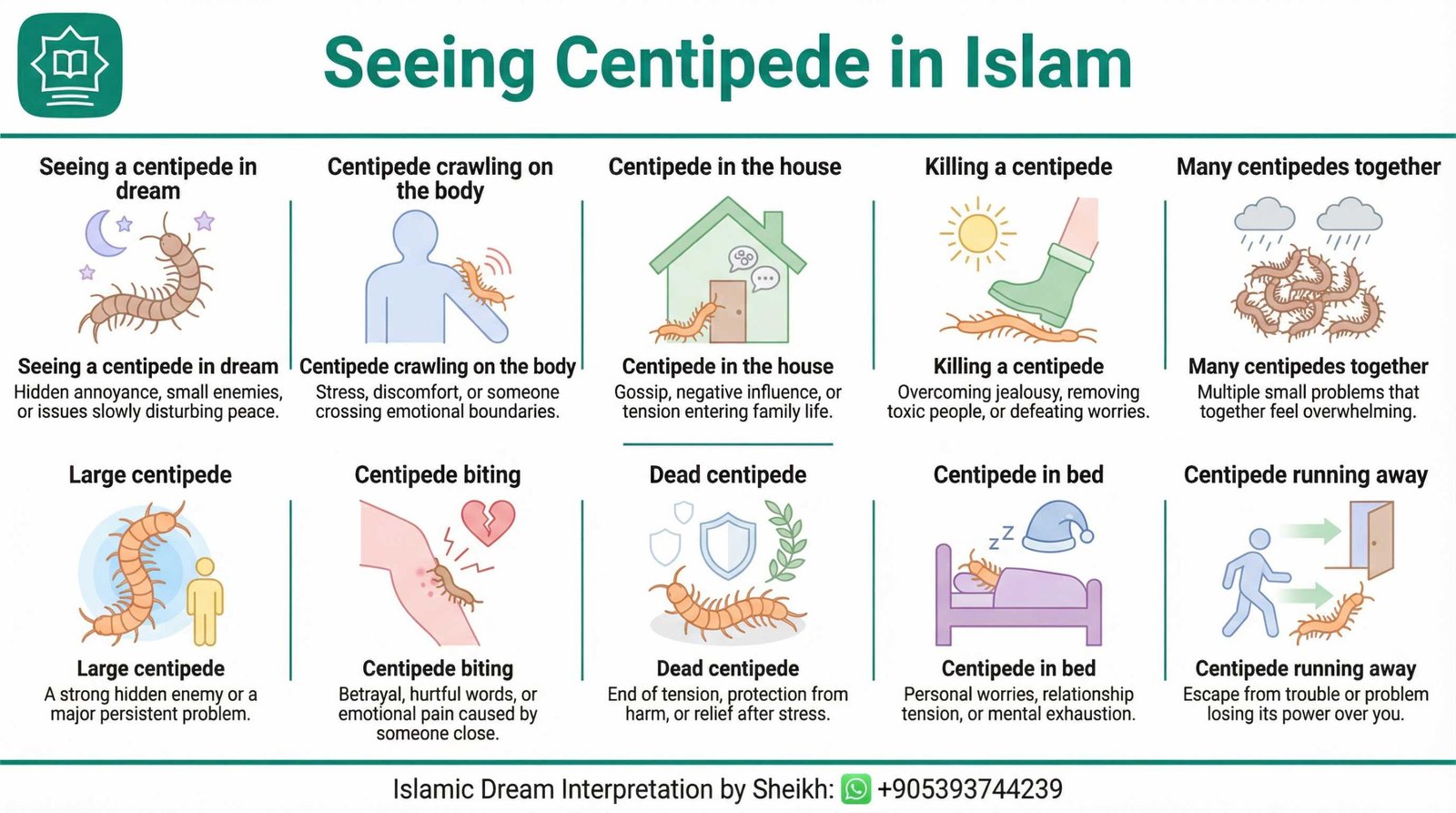 Seeing Centipide in Islamic Dream Infographics