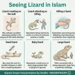 Seeing Lizard in Islamic Dream Infographics