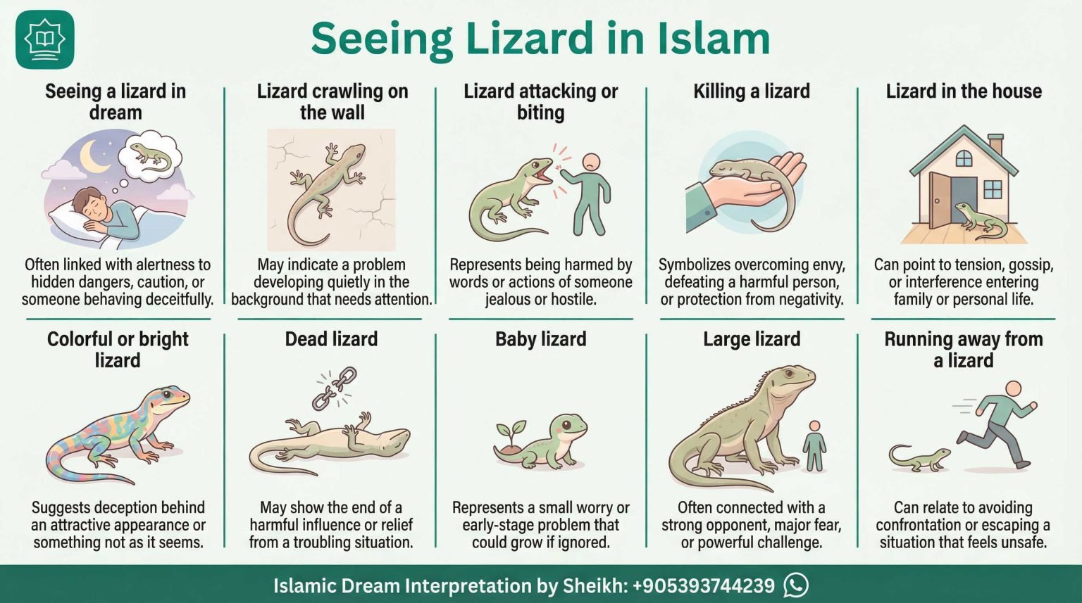 Lizard Dream Islamic Meaning & Interpretation | Best Istikhara