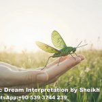green grasshopper in dream islam