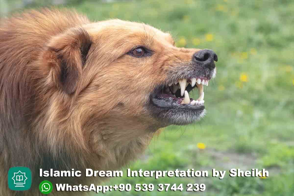 Brown-Dog-Bite-in-Dream-Islamic-