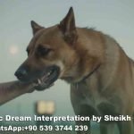 Brown-Dog-Bite-in-Dream-Islamic-